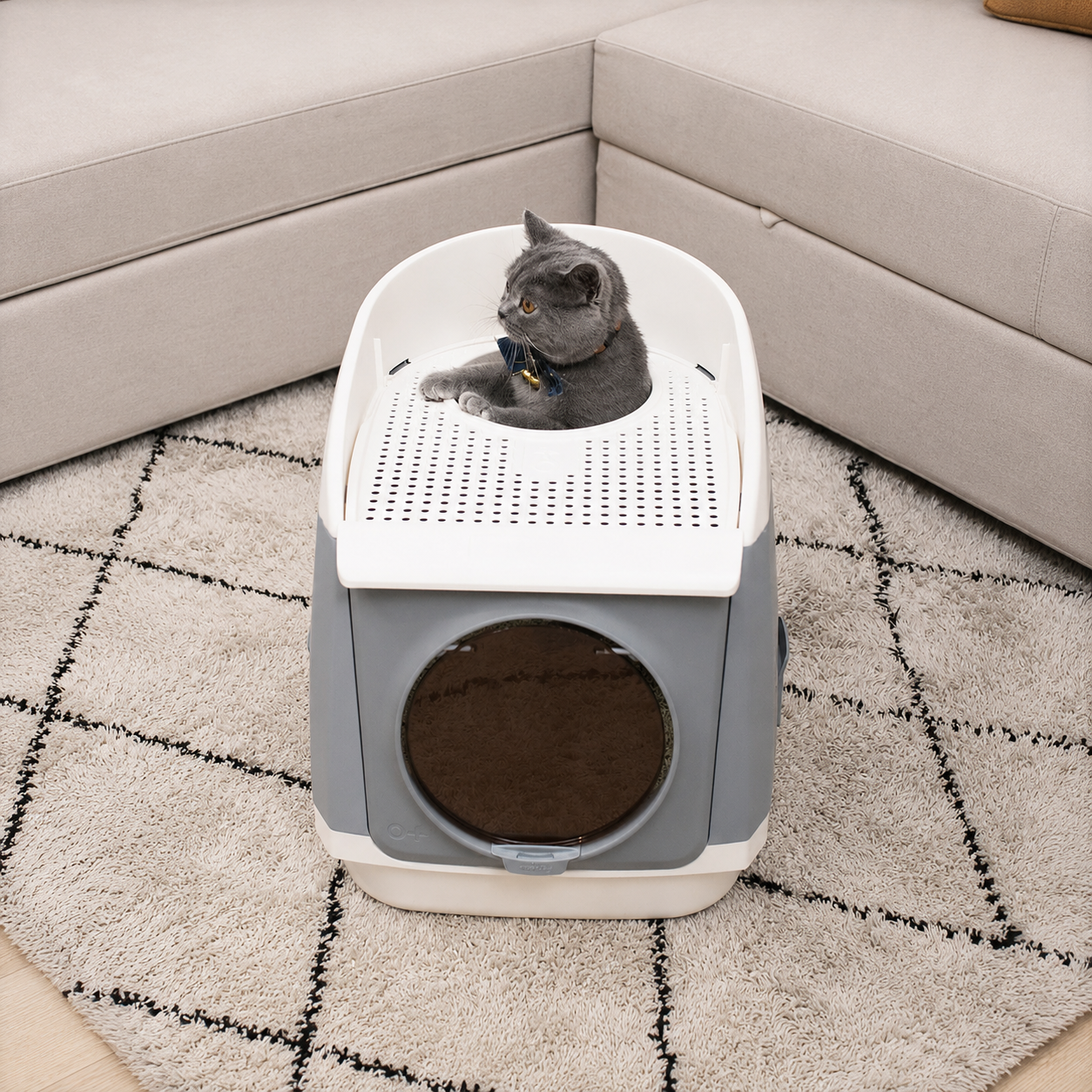 CatResidence-grau-4106-08-neu ChatGPT CatResidence-grau-4106-08-neu ChatGPT
