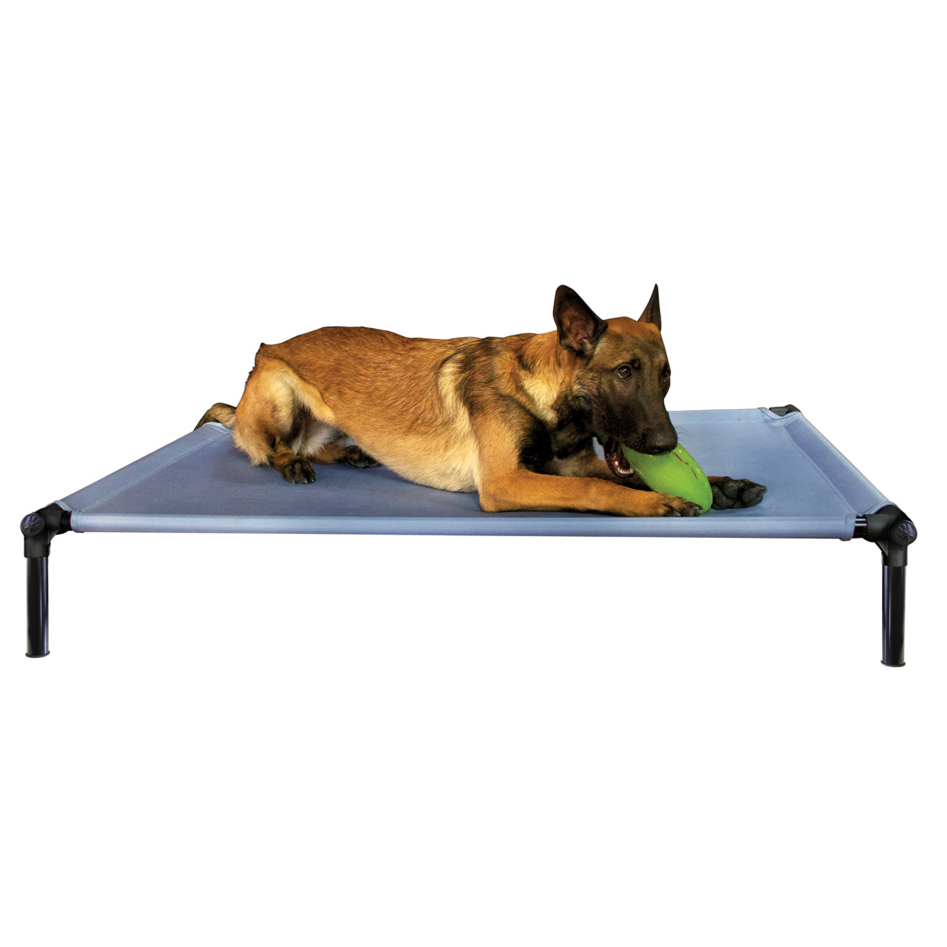 Dogzone_blue_02FaZKeWpcRlTAI