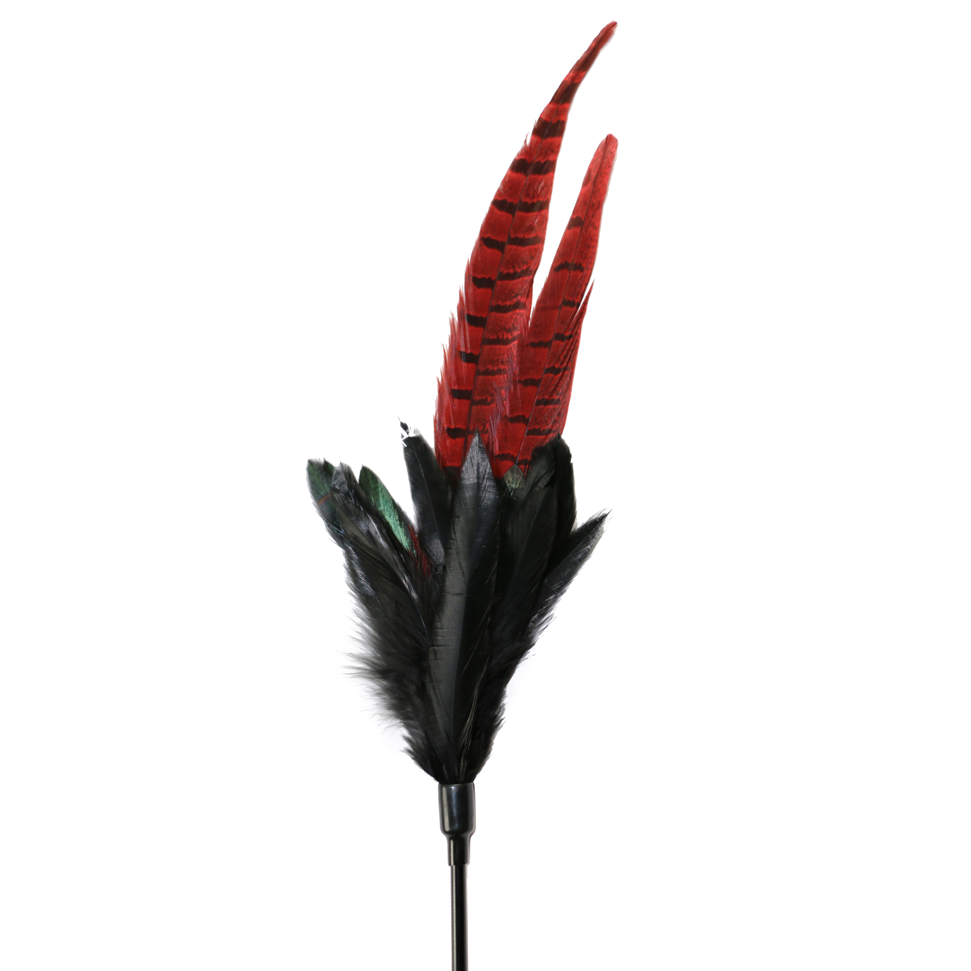 MysticLongFeather_48608_03