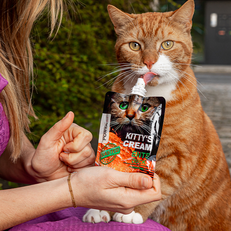 portapet_kittys-cream_de-mulder-bo_3