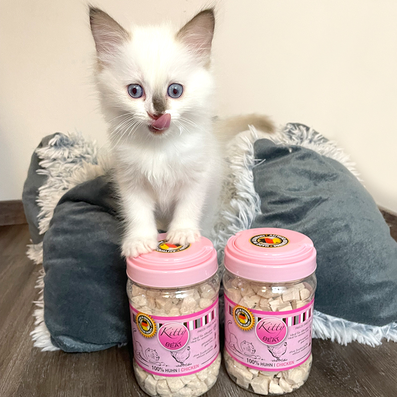portapet_kitty-beat_sabrina-krichel_4