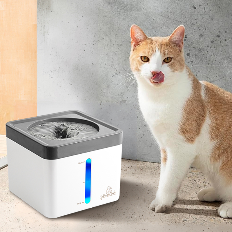 Mini Vortex mit Katze 2