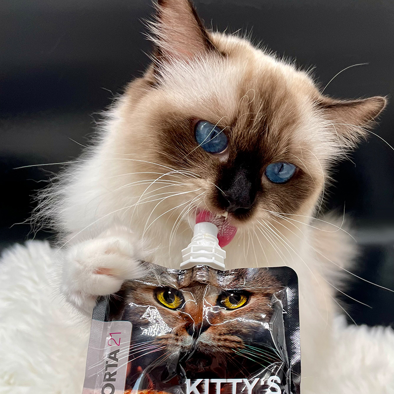 portapet_kittys-cream_sabrina-krichel_1A7KRa5vfdAVso