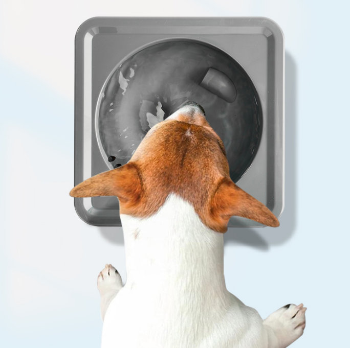Mini Vortex mit Hund von oben Mini Vortex mit Hund von oben