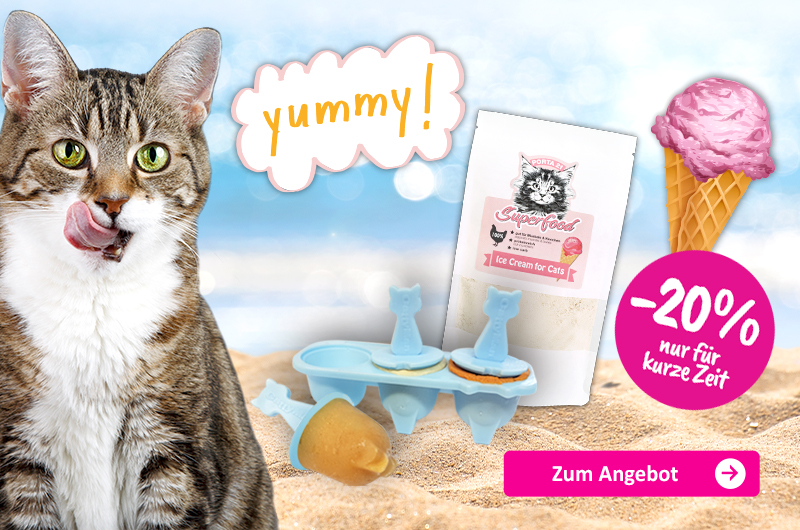 2307-ShopBanner-Aktion-Eis-Katze-DE