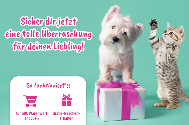 Geschenkaktion ab 50 EUR Juli 2025