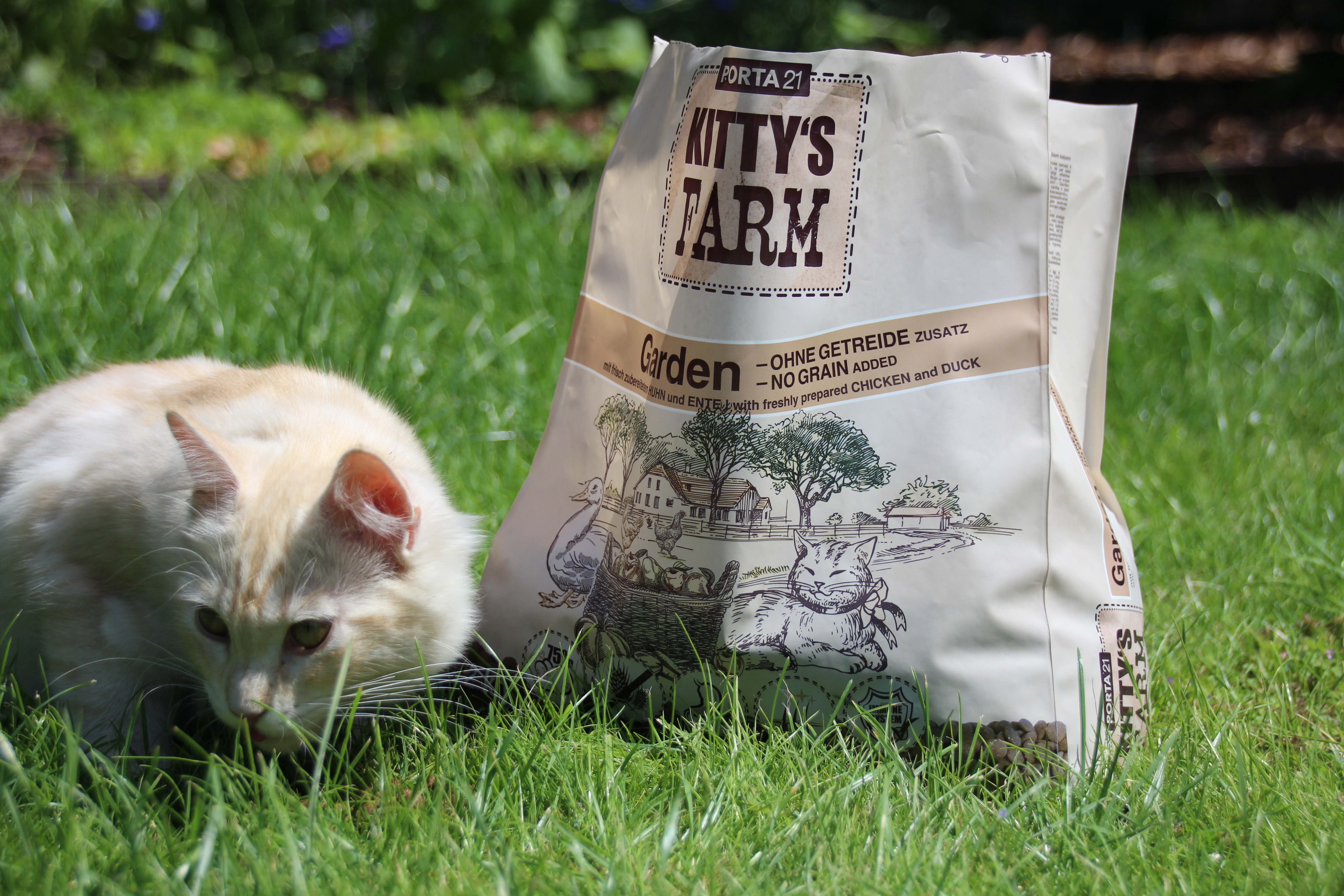 Kittys-Farm-Garden-helle-Katze