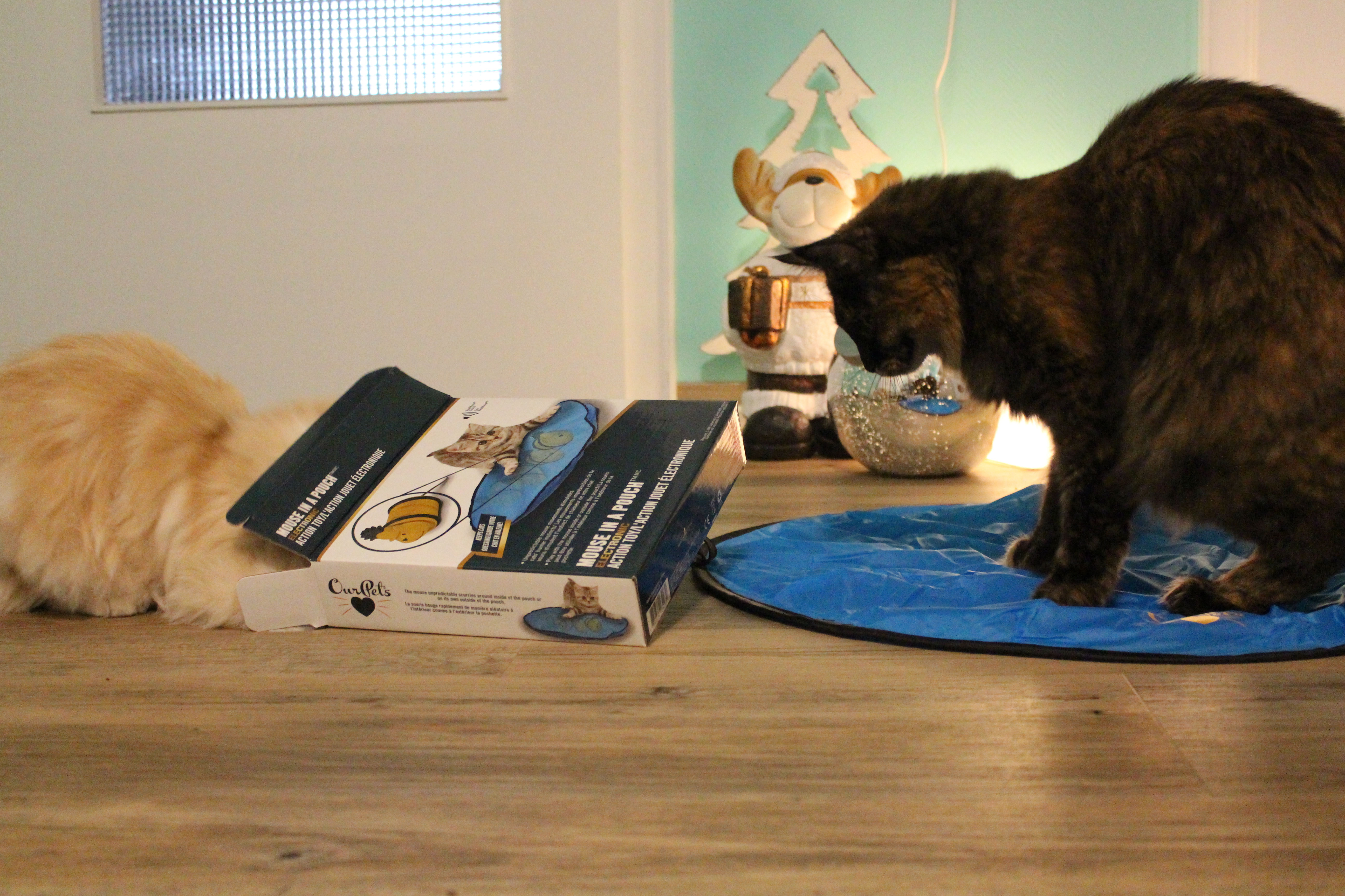Zwei Katzen mit Mouse in a pouchSpielzeug