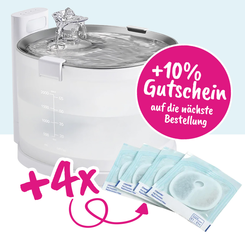 Sparpaket - Cheerble Elfin E1+ Sparpaket - Cheerble Elfin E1+