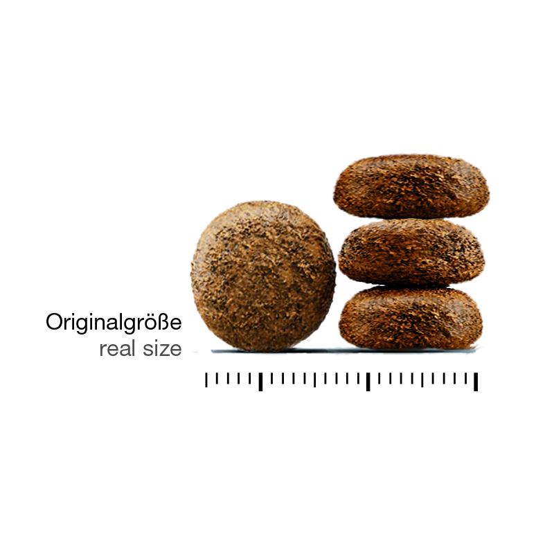 Schulzes-Best_farmers-land_kroketten