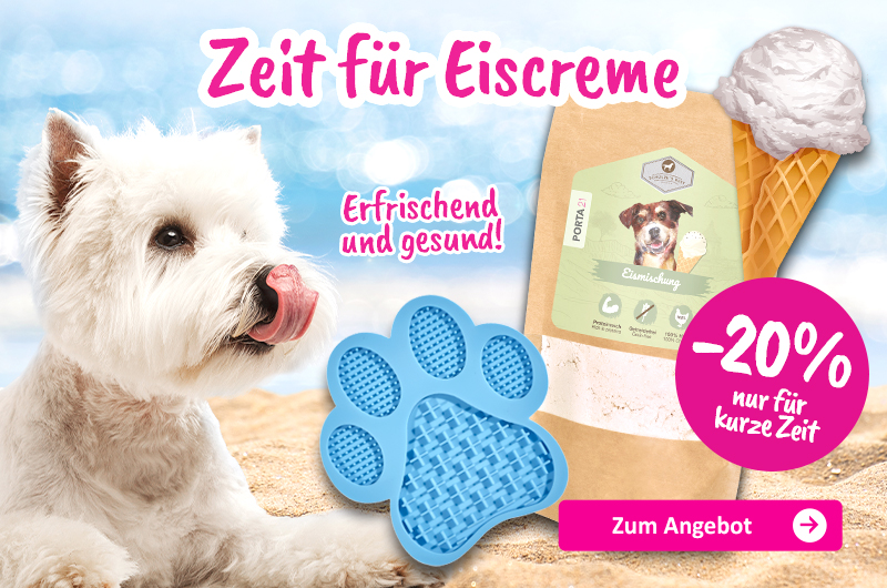 06-26-ShopBanner-Aktion-Eis-Hund-DE 06-26-ShopBanner-Aktion-Eis-Hund-DE