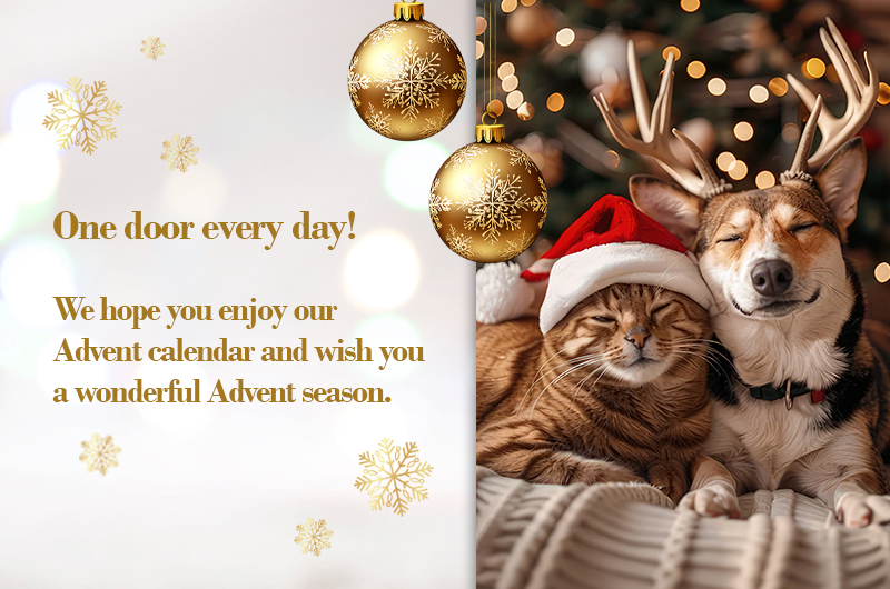 B2C Christmas Advent Calendar Promotion 2025