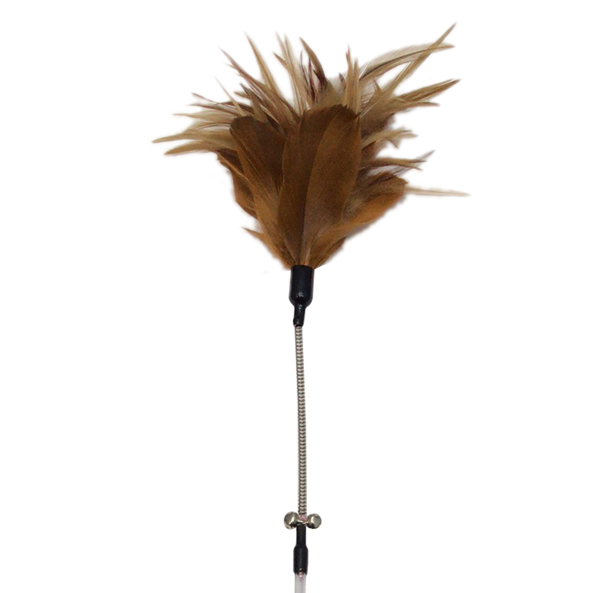 SeesawFeather_48614_03