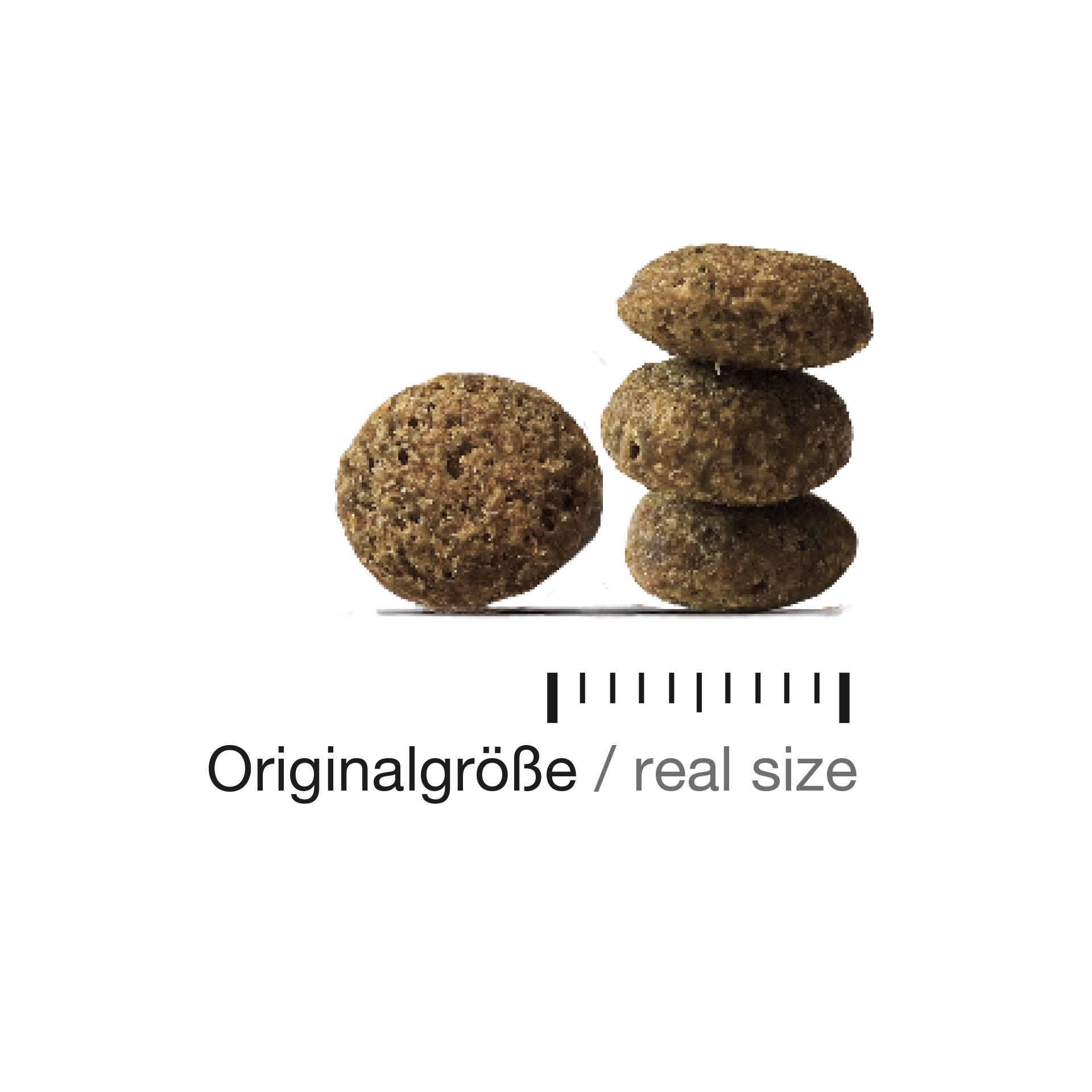 felinefinest_active-sterilised_krokettenqgKLTGpJKI3Po